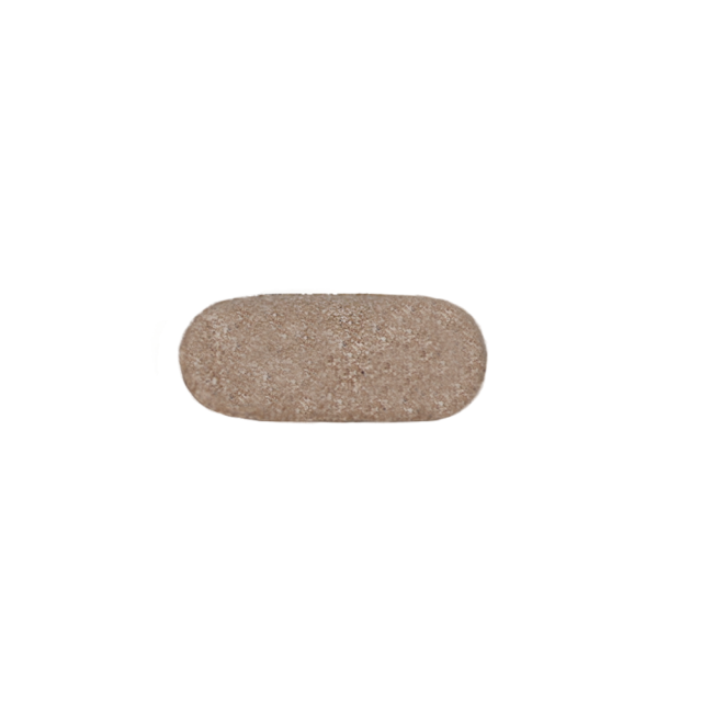 콜레우스포스콜리